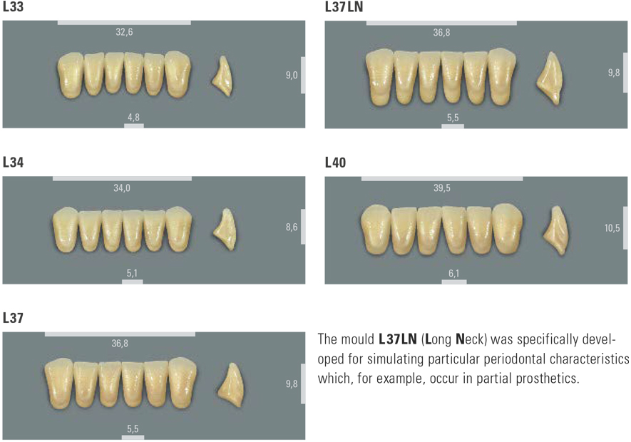 VITA MFT LOWER ANTERIORS MOULD CHART